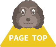 TOPへ戻る矢印画像